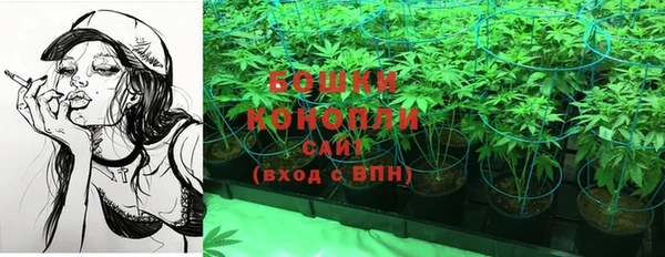 мяу мяу мука Вяземский
