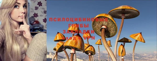 мяу мяу мука Вяземский