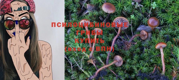 мяу мяу мука Тавда