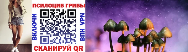 где продают   Юрюзань  Псилоцибиновые грибы Psilocybe 